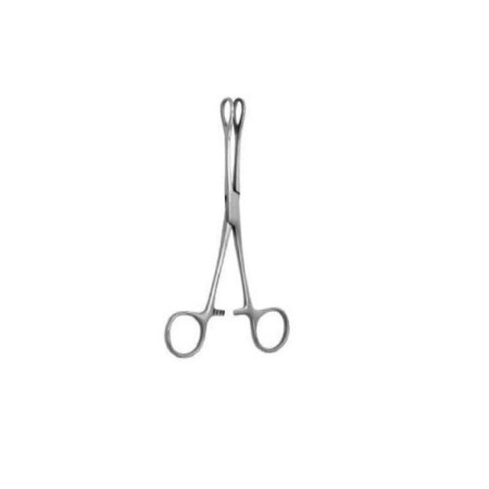 Foerster Sponge Forceps 23.5cm